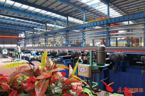 除塵系統(tǒng)升級(jí)改造,助力綠色文化工廠建設(shè)